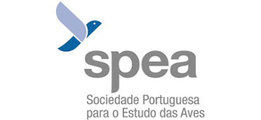 spea